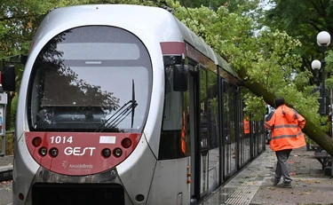 Se la tramvia smaschera l'uomo bianco