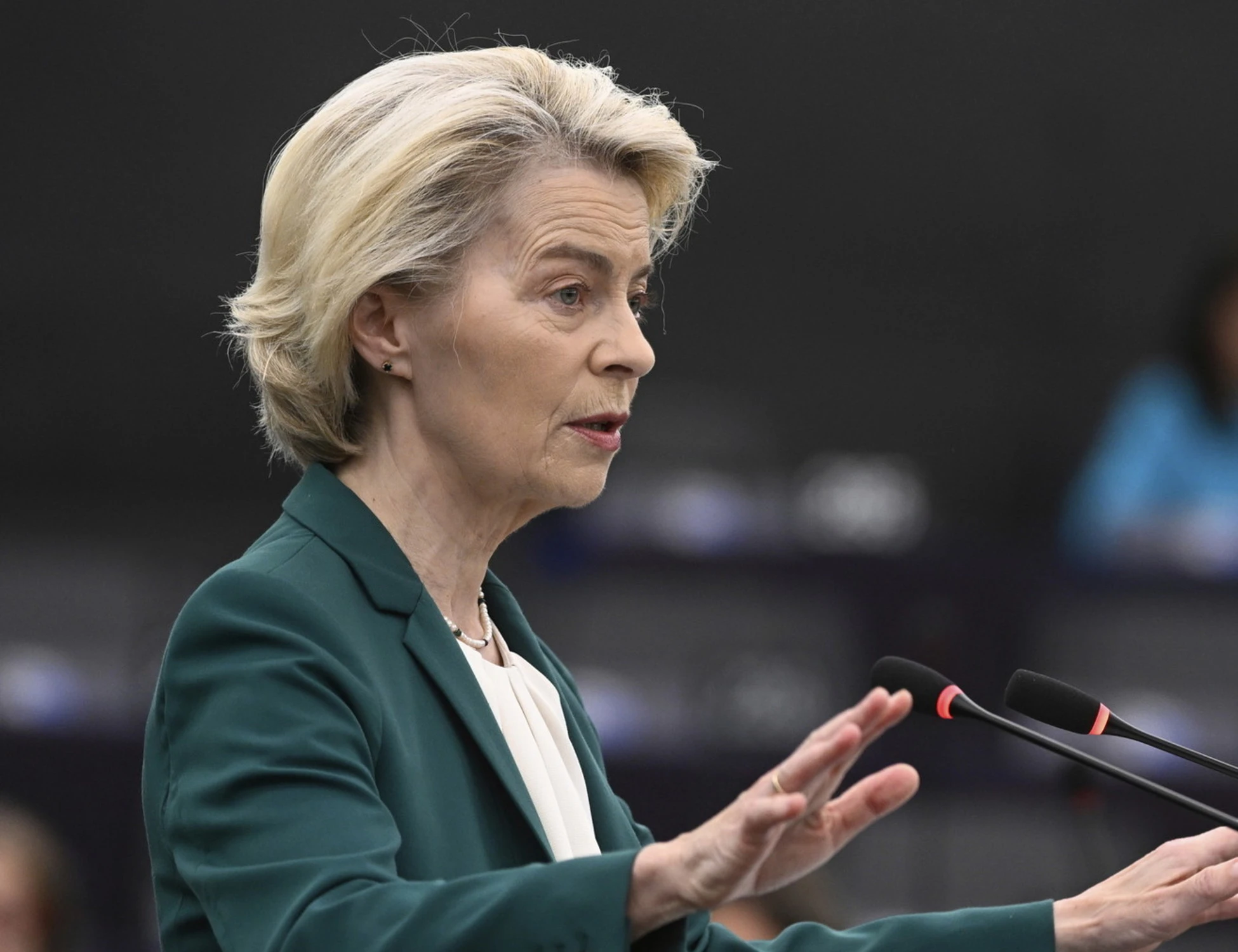 Ursula von der Leyen, Fidanza: "FdI lavora a una maggioranza alternativa"