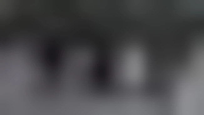 https://media.liberoquotidiano.it/jSXGAelxRfxLzF8lRA9dG6bdhb8pcsG4SYPqz_6oYdk/width:800/quality:90/aW1hZ2VzLzIwMjUvMDkvMTIvMTIzMjM4ODgxLTQxNGZiZjkxLTZkYmItNGZiNi04MTVjLWU0MWM2OWMzM2U2OC5qcGc.webp