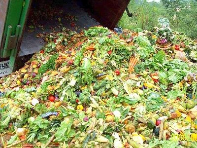 Nella spazzatura il 30% del cibo prodotto ogni anno