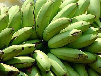 Le banane tagliano l'anidride carbonica, un progetto di Chiquita e Mit