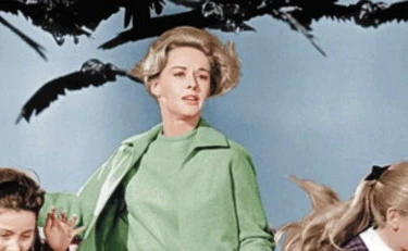 Uccelli di Hitchcock, ecco la vera storia (e l'autore)