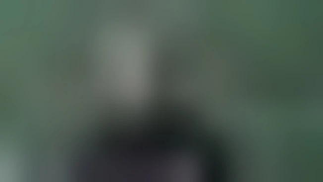 Iran avverte Europa: un coinvolgimento "sarebbe un atto di guerra"