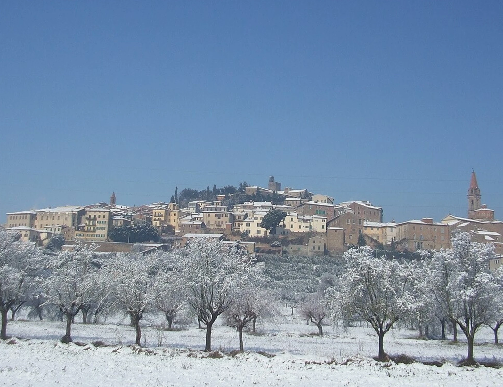 Castiglion Fiorentino, un'ecatombe: la proiezione sui 12 mesi, cosa può accadere