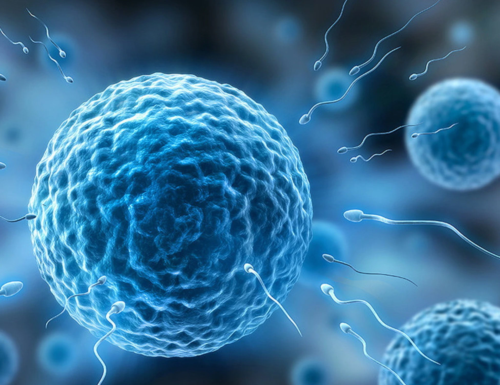 Non solo Dna, la scoperta choc sugli spermatozoi: che cosa può cambiare