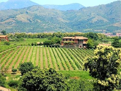 Ventimila agriturismi in Italia, più 150 per cento dal 1998. Valgono un miliardo