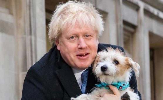 Boris Johnson, Matteo Salvini esulta: "Sinistra sconfitta anche in Gran Bretagna"