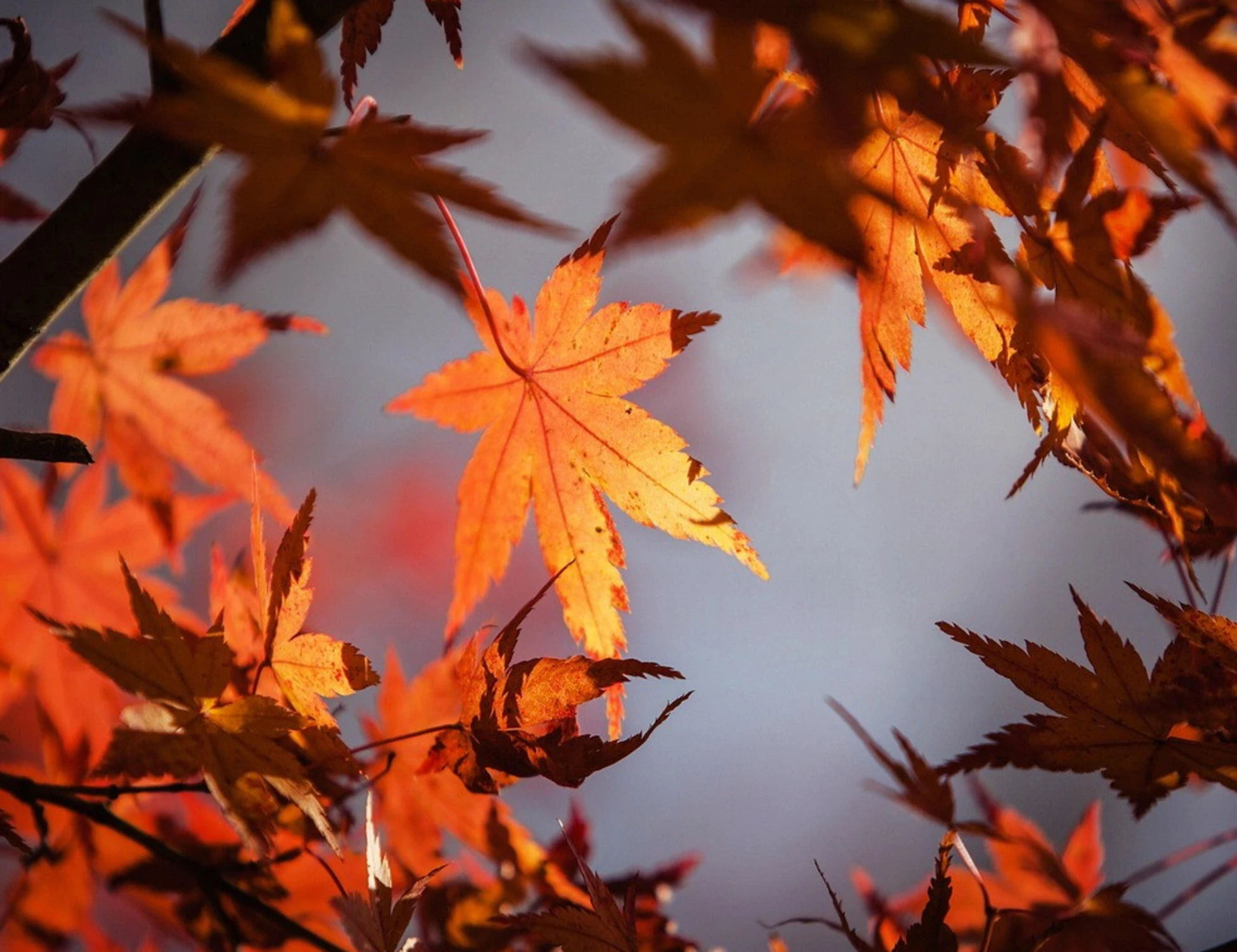 Meteo, Mario Giuliacci avverte gli italiani: crollo delle temperature e weekend rovinato