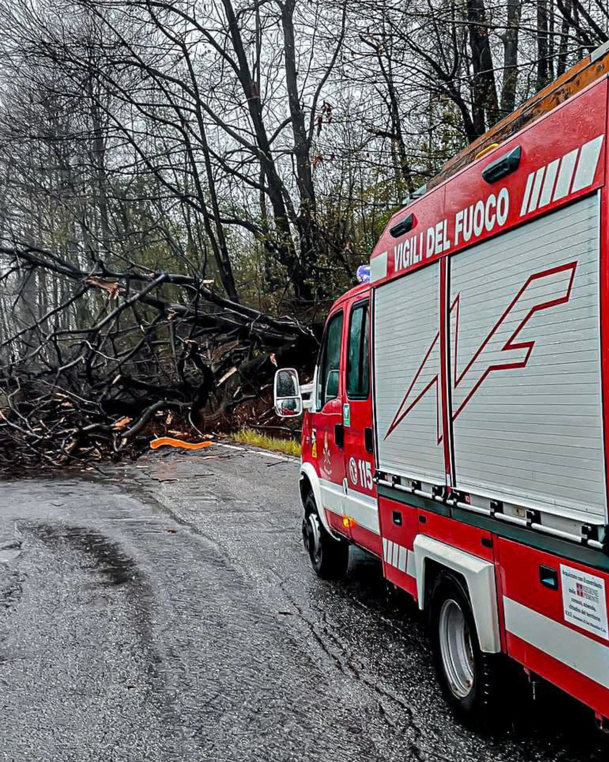 Matera, albero colpito da un fulmine si abbatte su un'auto: un morto