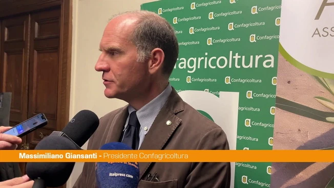 Giansanti "Per l'oliva da tavola una dimensione di mercato importante"