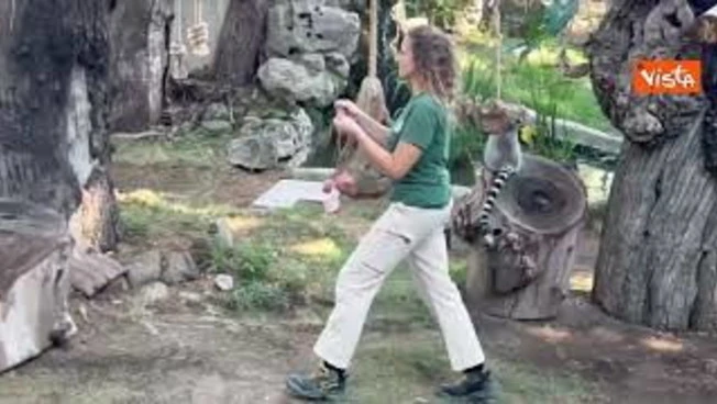 Caldo torrido, per gli animali del Bioparco di Roma ghiaccioli di frutta e yogurt