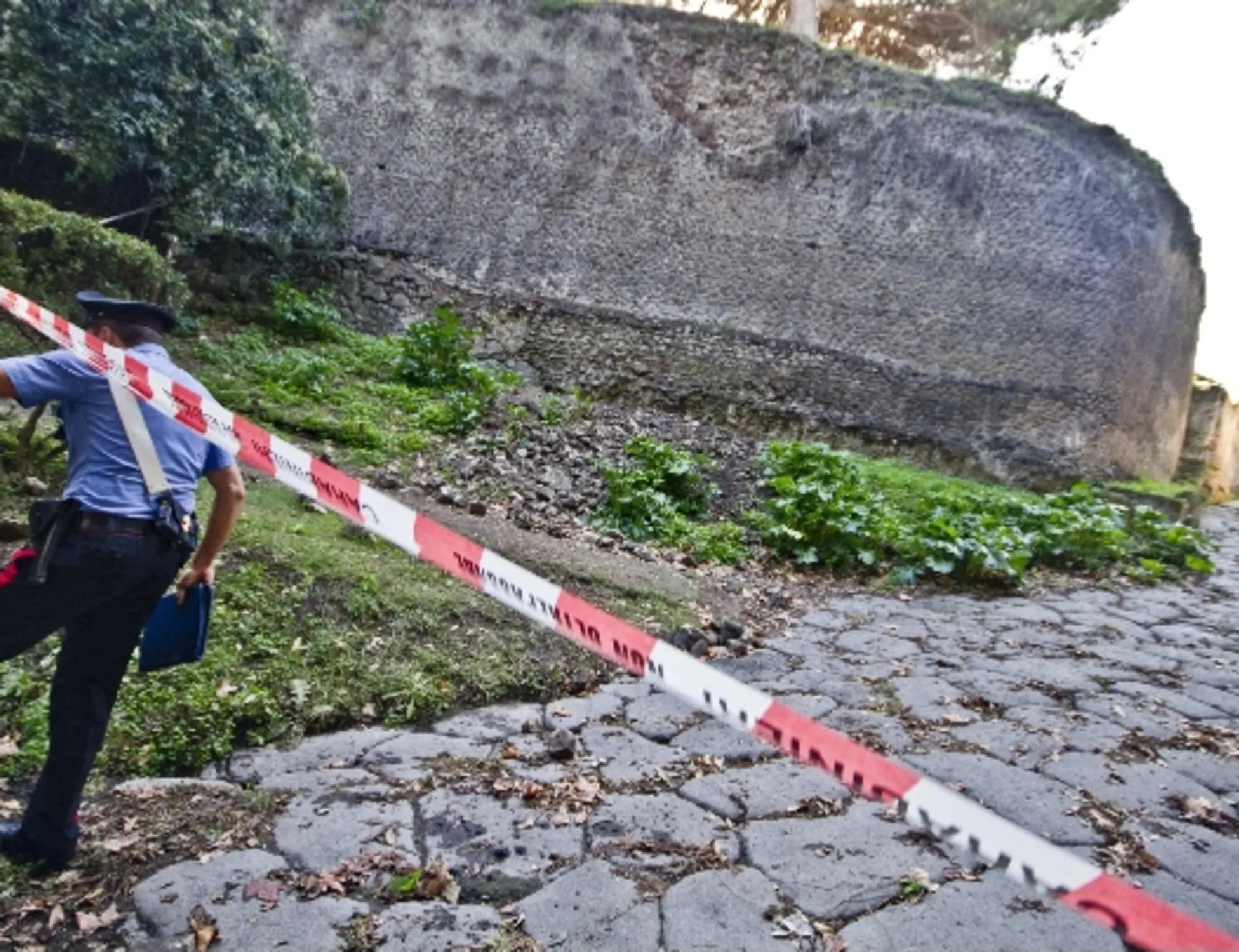 Leggi l'articolo: <br />