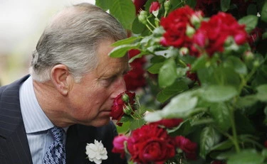 Re Carlo, il giardino maledetto di Highgrove: accuse al sovrano, cosa sta succedendo