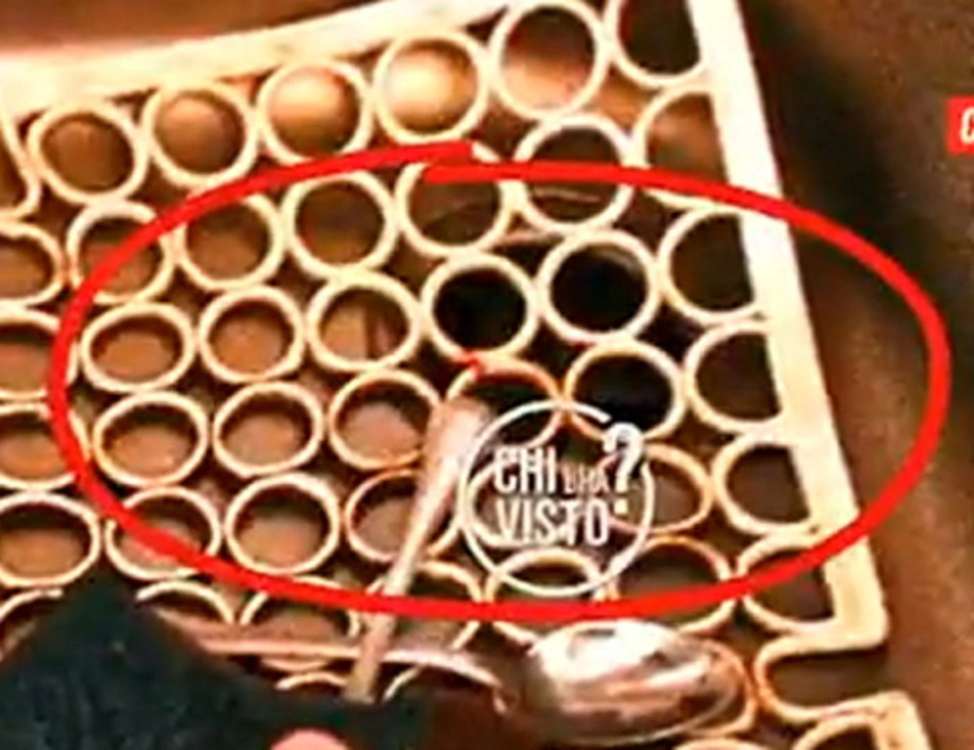 Garlasco, la traccia di sangue mai vista prima: colpo di scena radicale