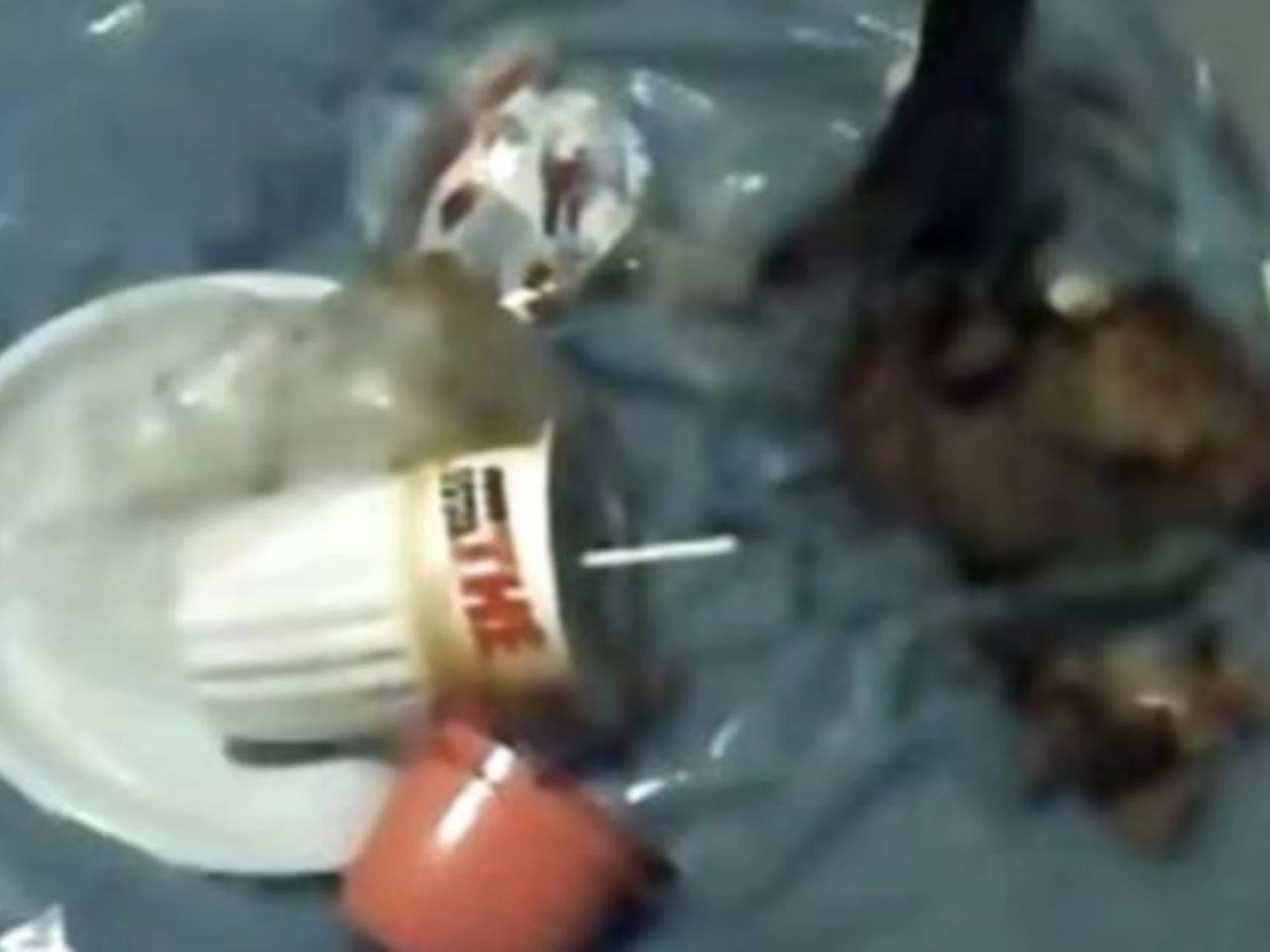 Garlasco, l'Estathè può risolvere il caso: ecco perché