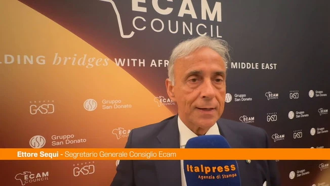 Sequi "Con The Charter una roadmap per lavorare insieme all'Africa"