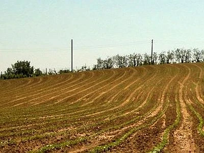 Coldiretti, la primavera inizia con l'allarme freddo nei campi