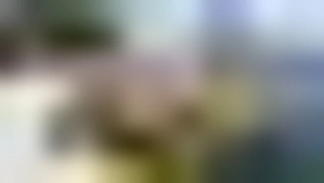 https://media.liberoquotidiano.it/kIZCoQhliN21M8C6eej97fQEdVUl4uxo5PLjJpCIA0s/width:800/quality:90/aW1hZ2VzLzIwMjUvMDkvMTcvMTUyODQ1MjQwLTA3Y2ZiNmExLTNiYmQtNGZkNS1hNDg3LWZlYTQxMTExZjNjOC5qcGc.webp