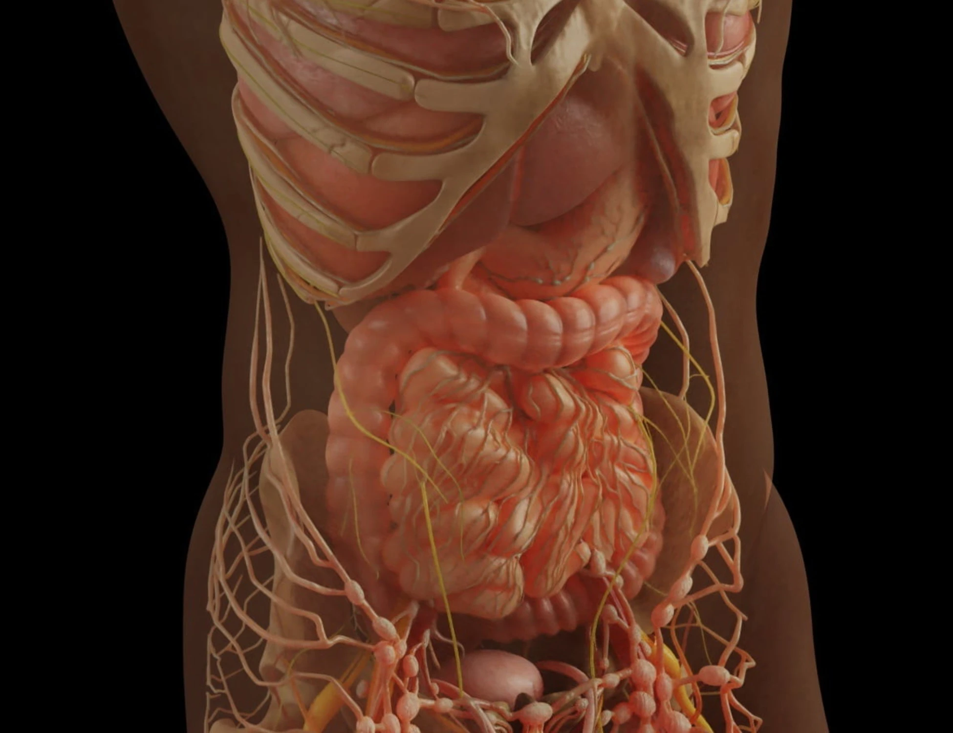 Tumore al pancreas: "Ittrio-90", cambia tutto per i casi inoperabili