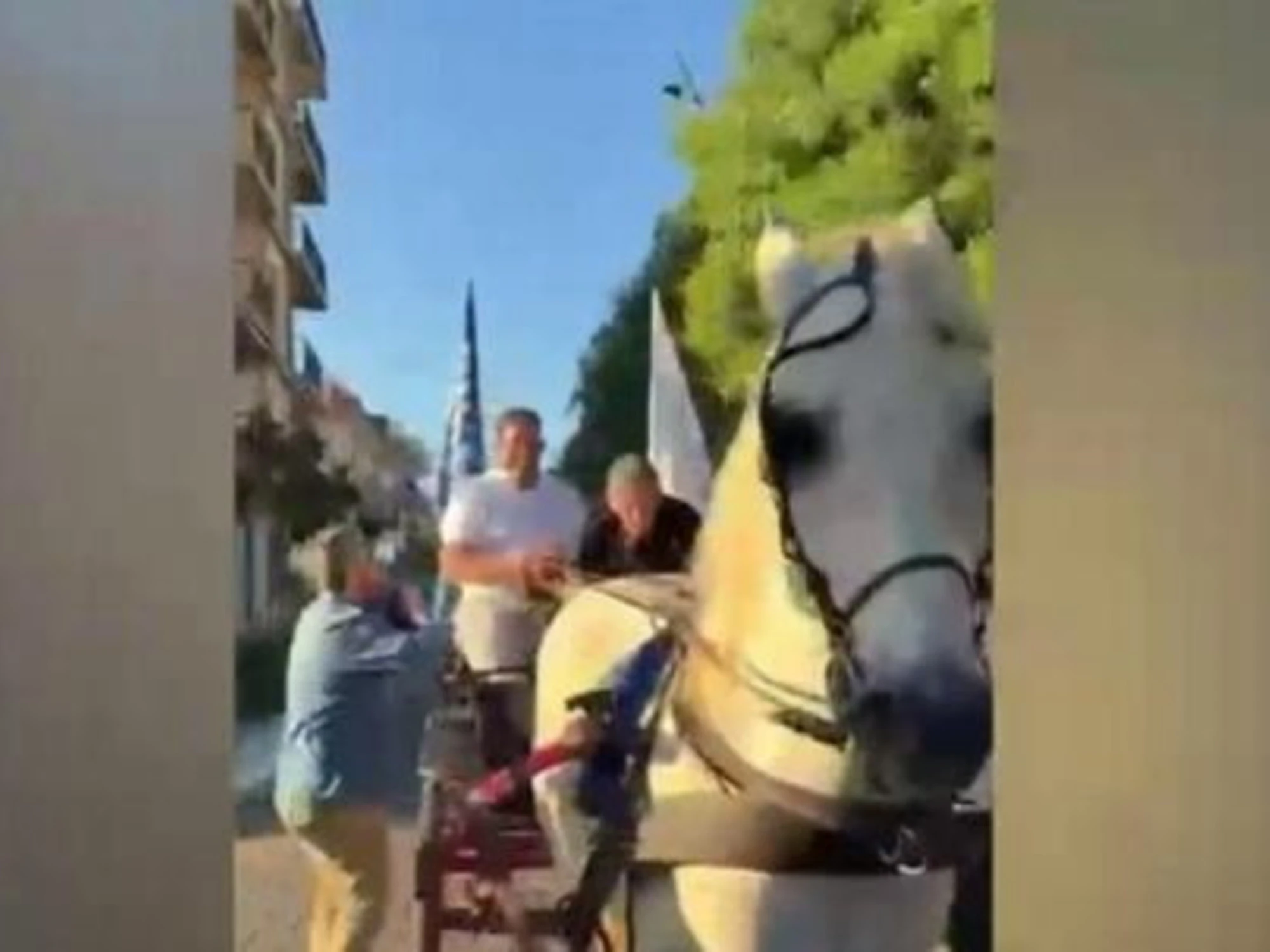 Laterza, il sindaco vince e si fa trainare da un cavallo: esplode la rissa col vigile