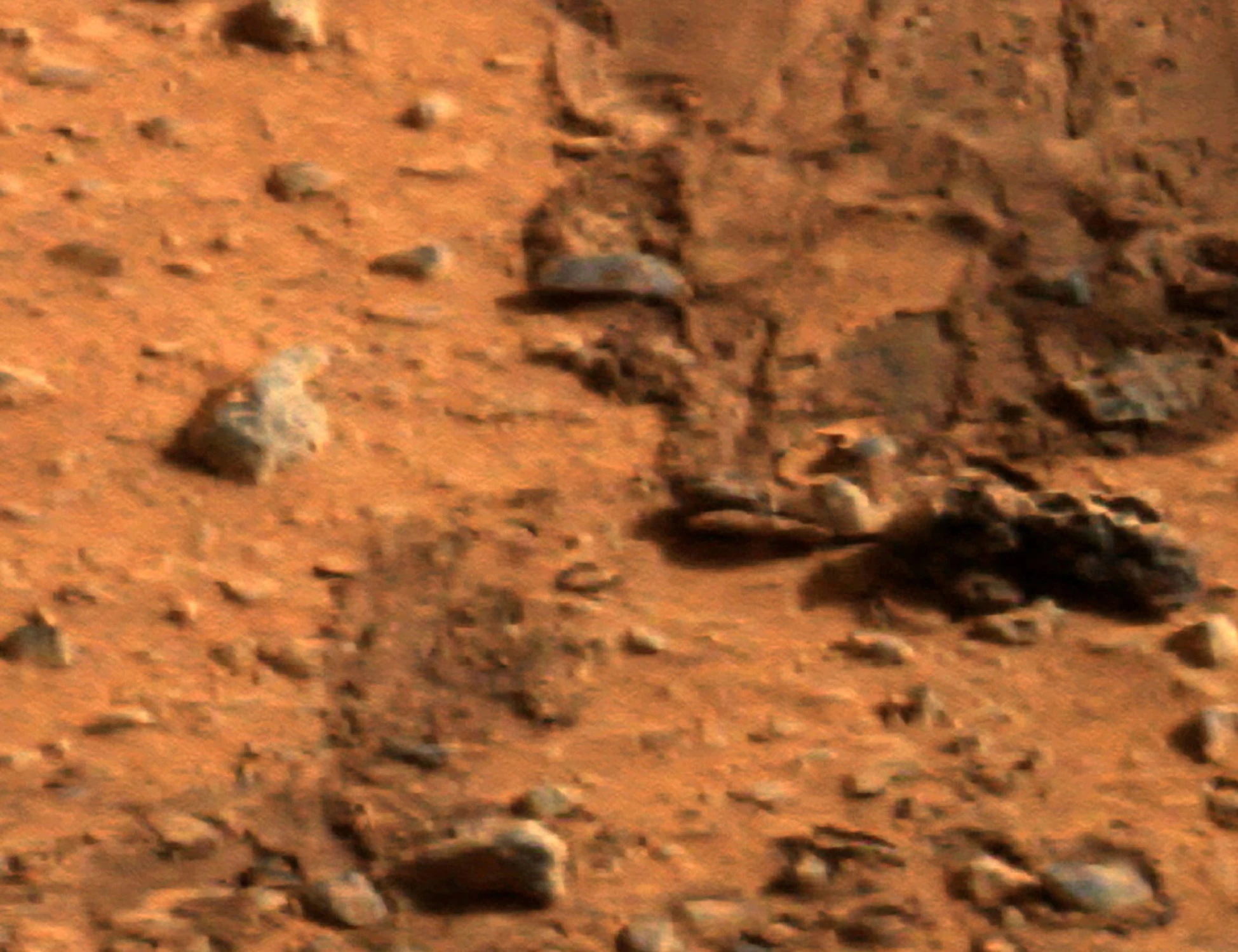 Marte, c'è davvero vita: la scoperta della Nasa