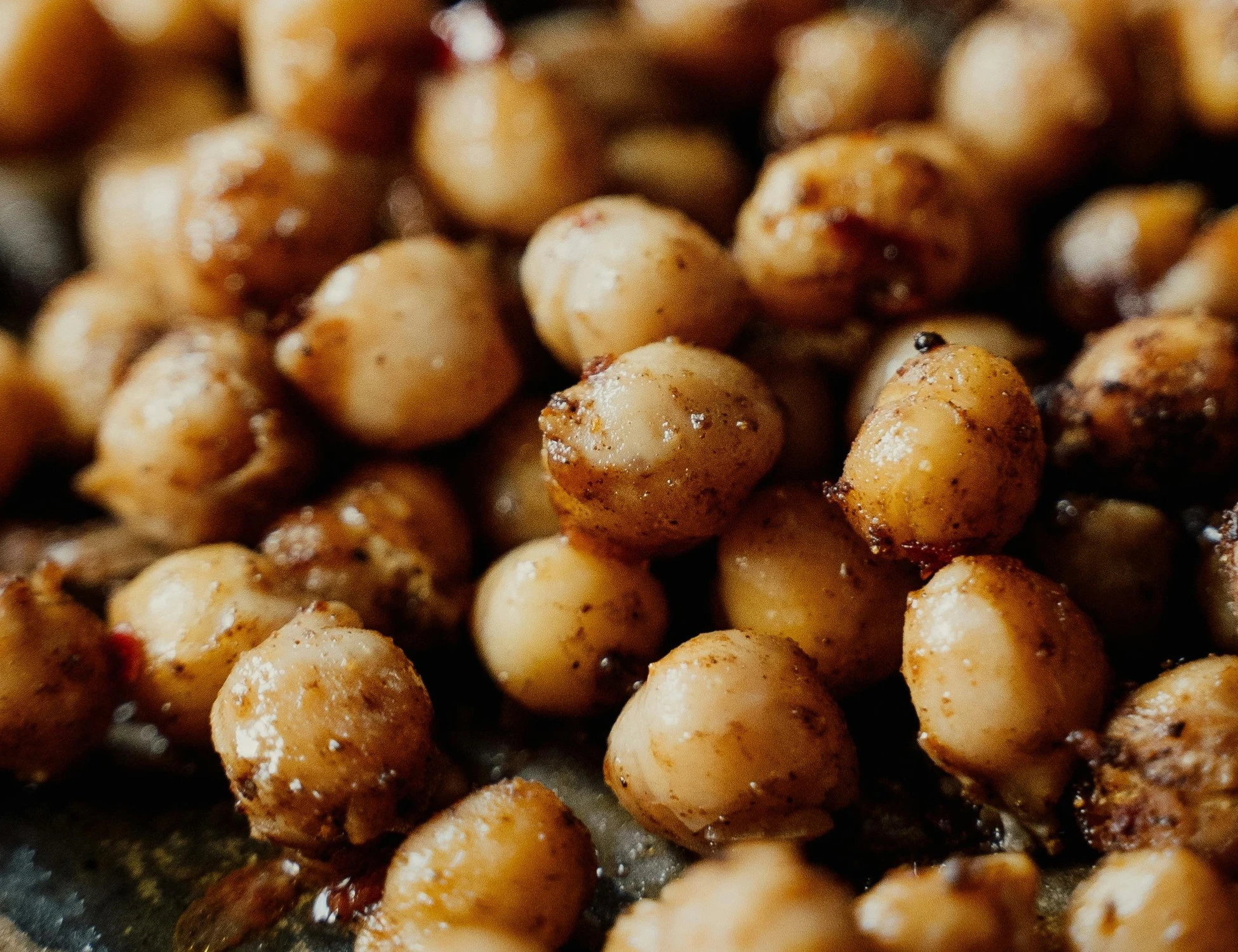 Ceci, una coltivazione sulla Luna: non è più fantascienza