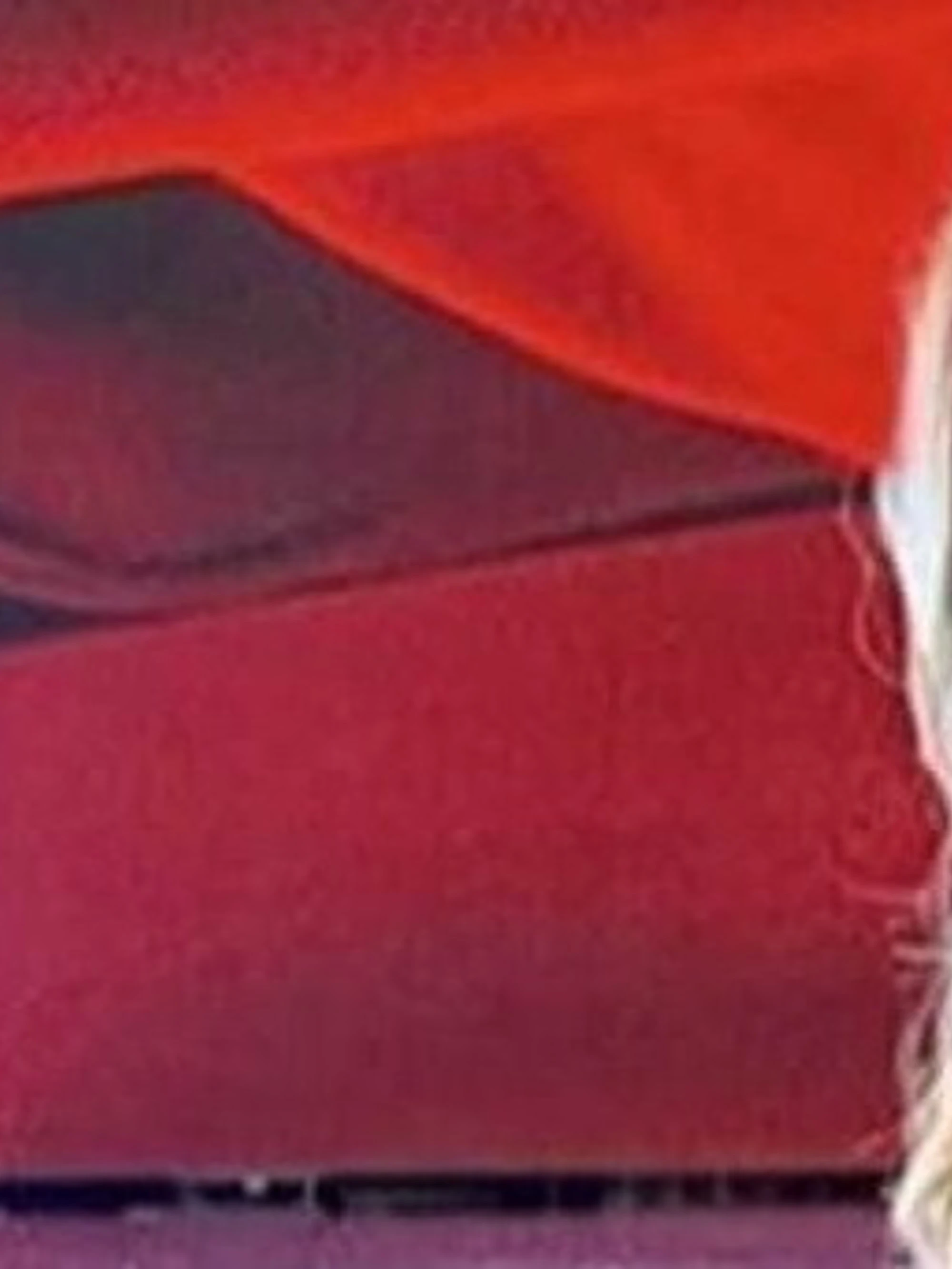 Ballando con le Stelle, le ragioni del "sì" di Barbara D'Urso
