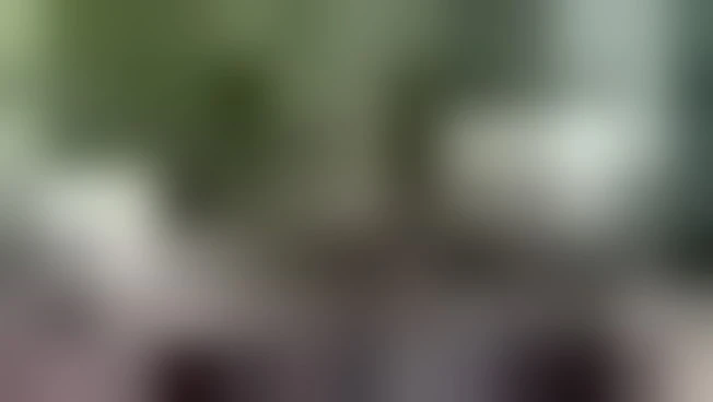 https://media.liberoquotidiano.it/kSIMAIvFUJhVhVDbPV0uDsHxeelDEMwKZoH5wv0UduA/width:800/quality:90/aW1hZ2VzLzIwMjYvMDUvMDgvMTAyNjI1OTE5LTE3ZDE2ZTU4LTAxZjUtNGYyZi1hNTM0LTdlYWM3OGY3Yjc1Ni5qcGc.webp