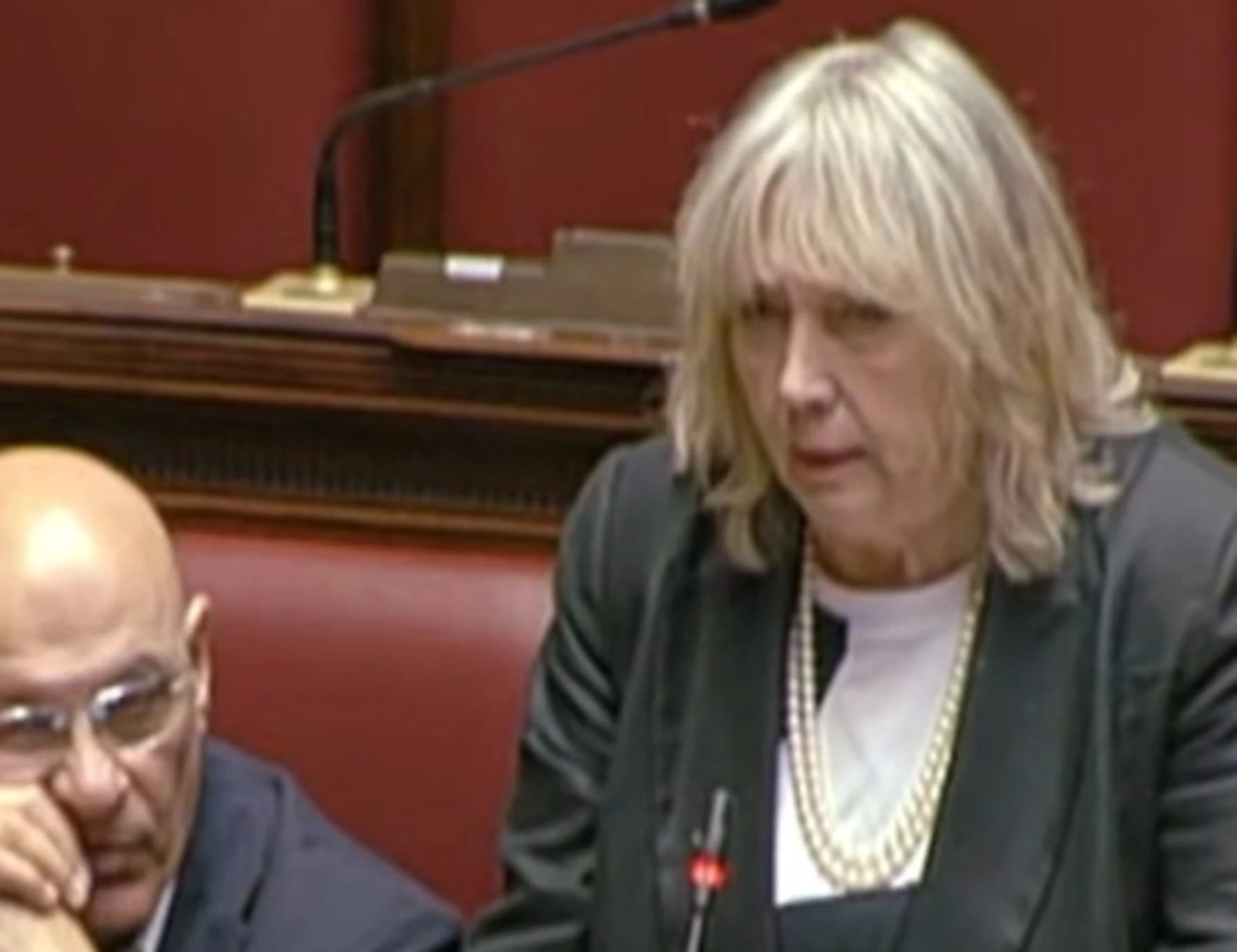 Flotilla, circo-Avs: "Colpita da un missile", la sparata della Zanella