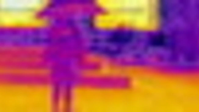 Ondata di caldo in Corea del Sud: Seoul vista tramite una termocamera