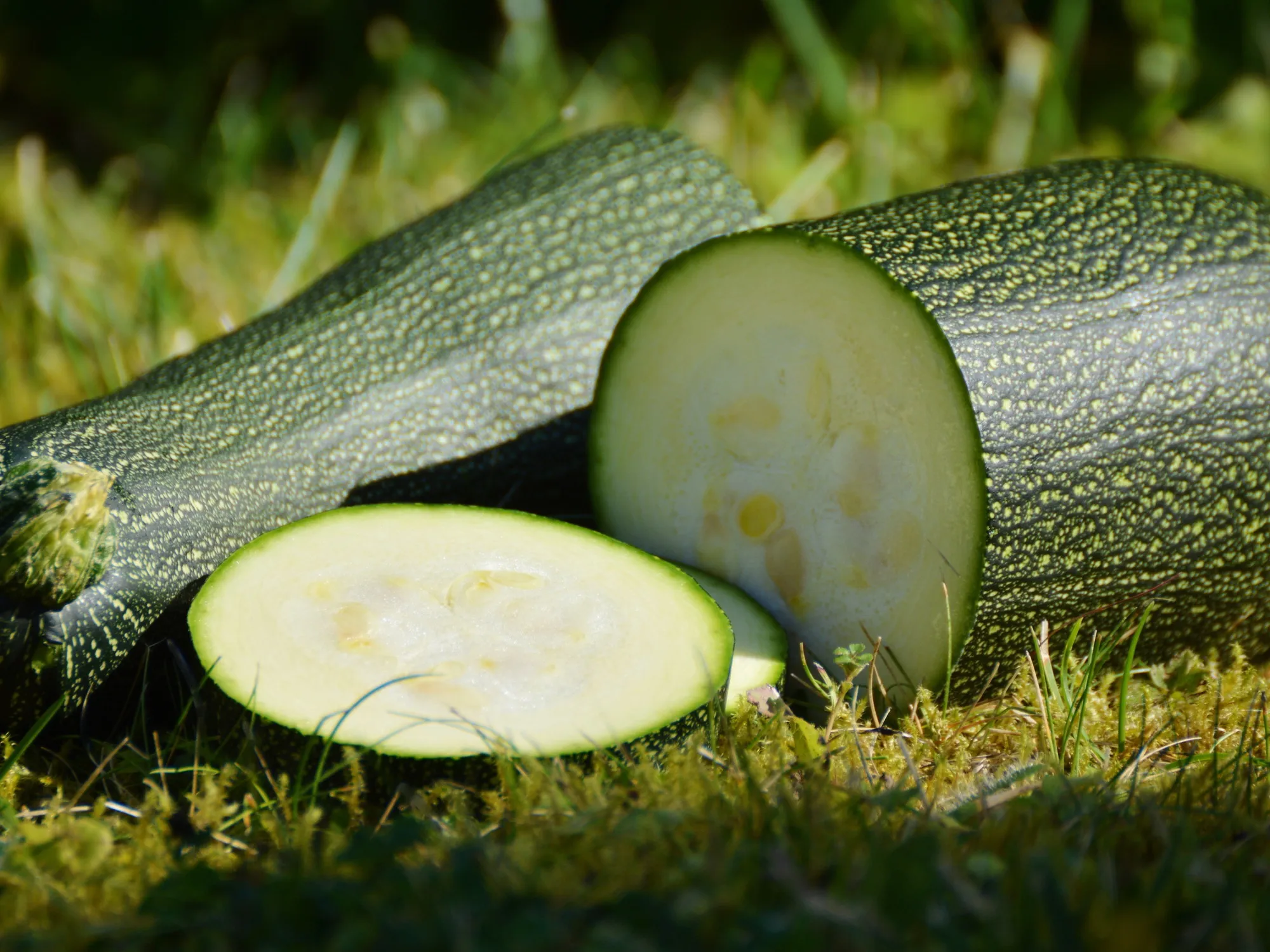 Zucchine perché fanno bene all'intestino e al cuore: il segreto della buccia