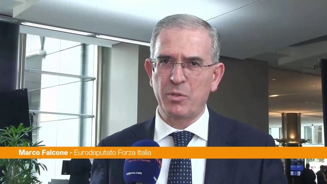 Iran, Falcone "UE lavora per fermare escalation e riportare pace e stabilità"