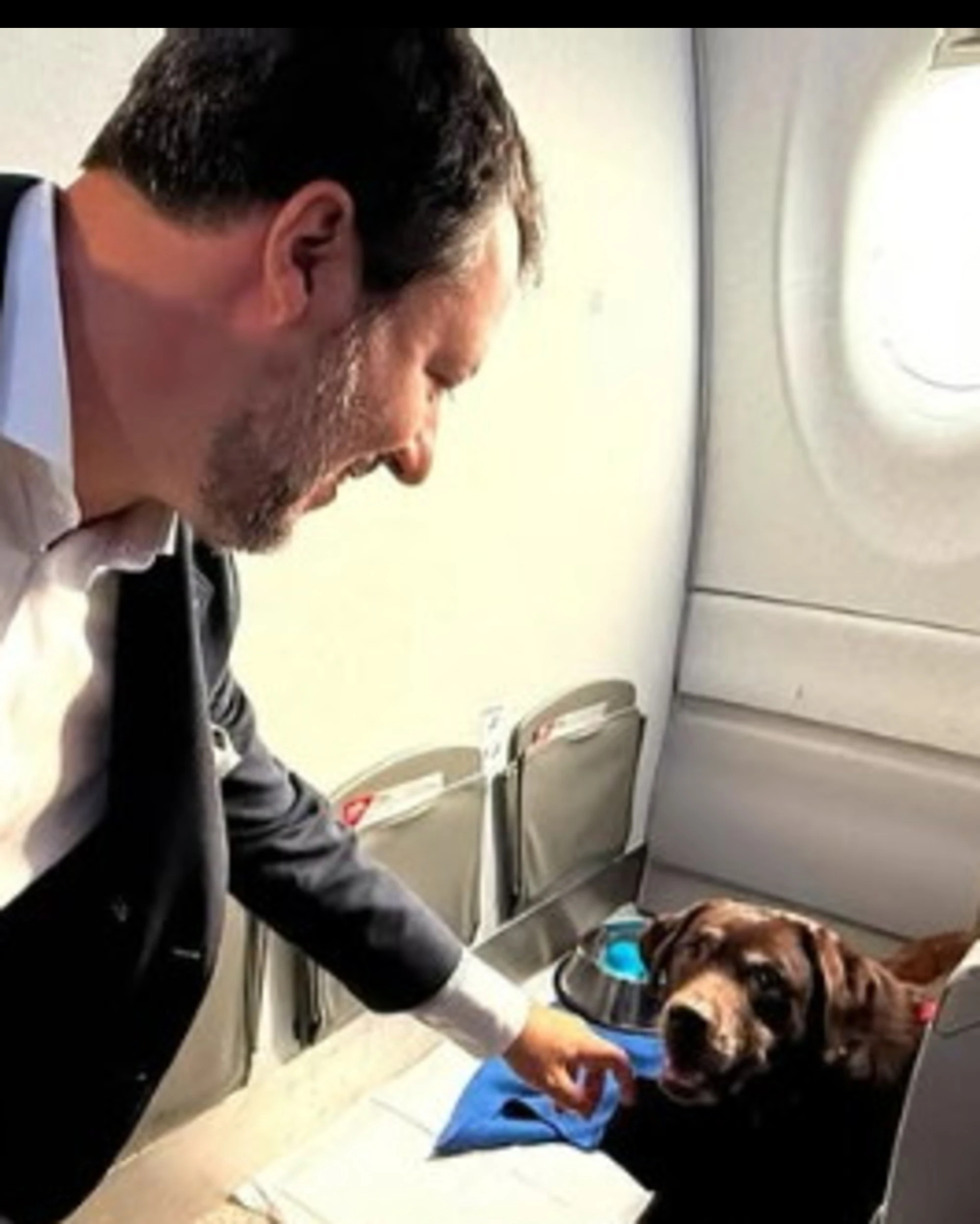 Cani in aereo con i padroni, Matteo Salvini: "Promessa mantenuta"