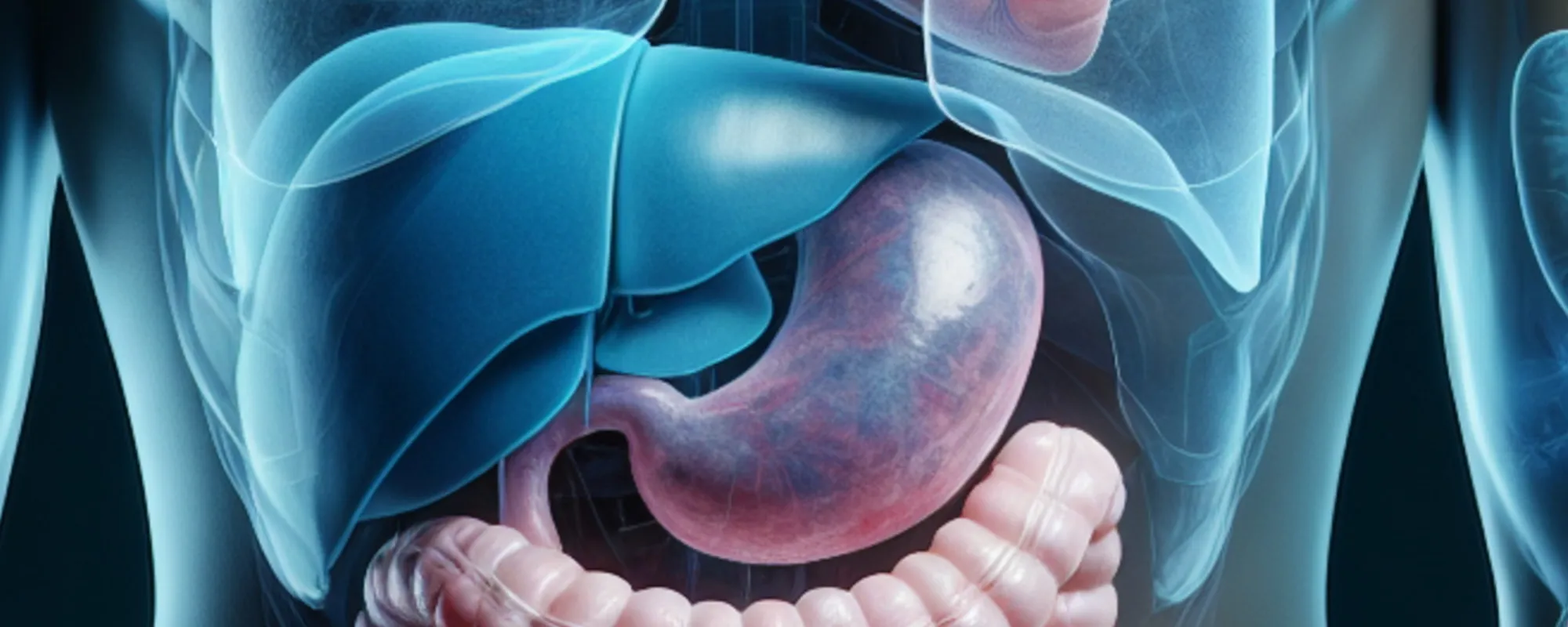 Fegato, il test che scopre le malattie con 10 anni di anticipo