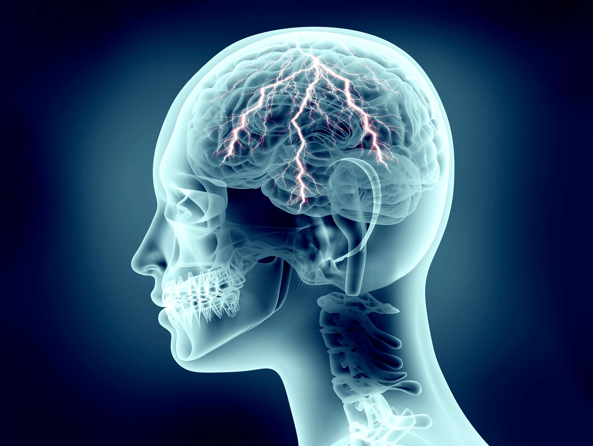 Cervello, dopo la morte è attivo per tre ore: lo studio scientifico