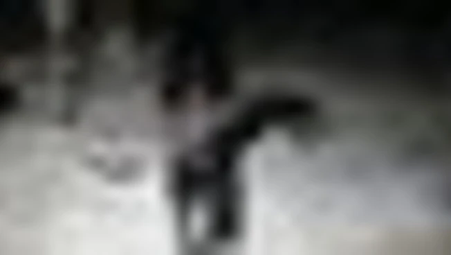 Mosca diffonde video di drone del presunto attacco a residenza Putin