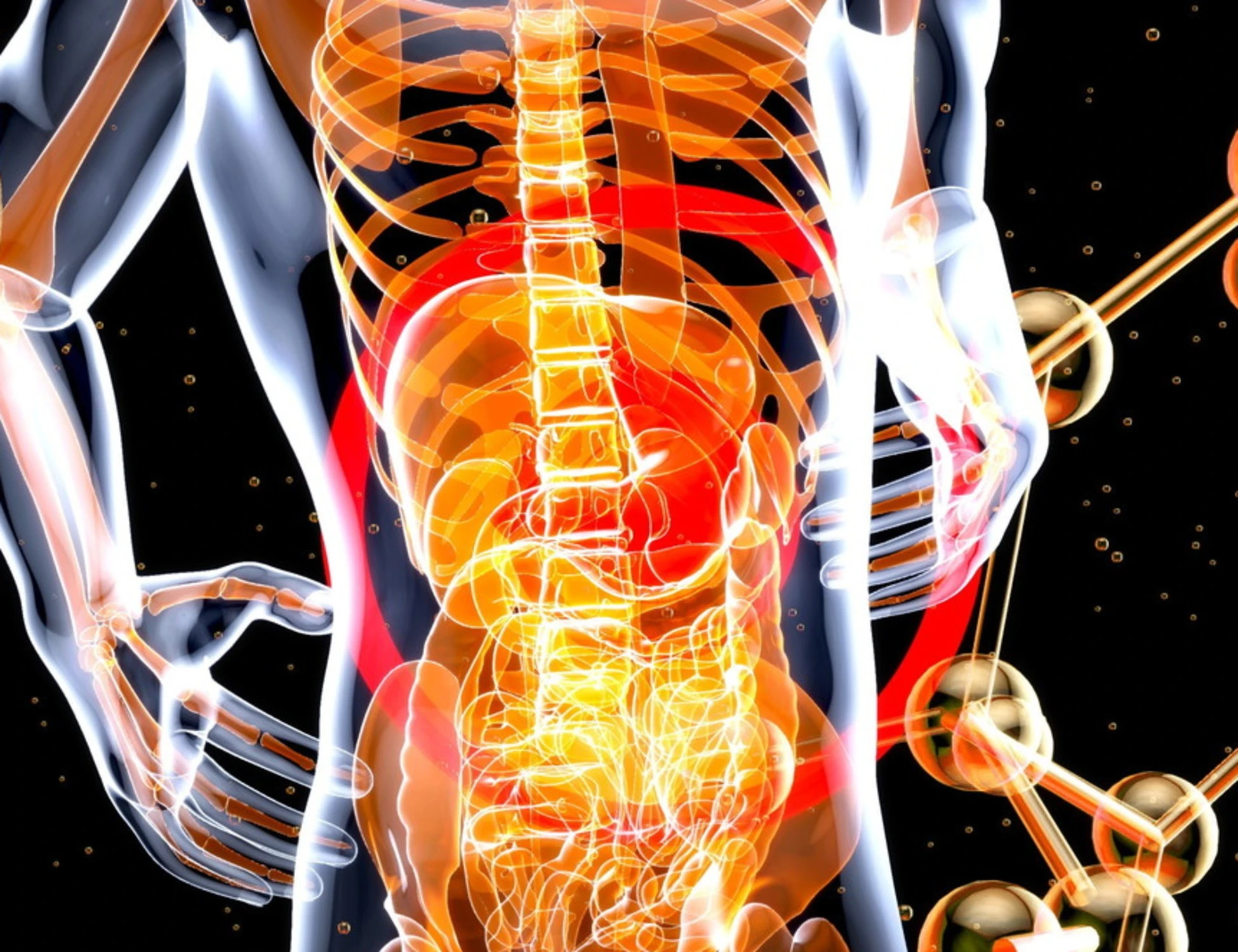 Tumore al pancreas: esami del sangue per una diagnosi prima della comparsa dei sintomi