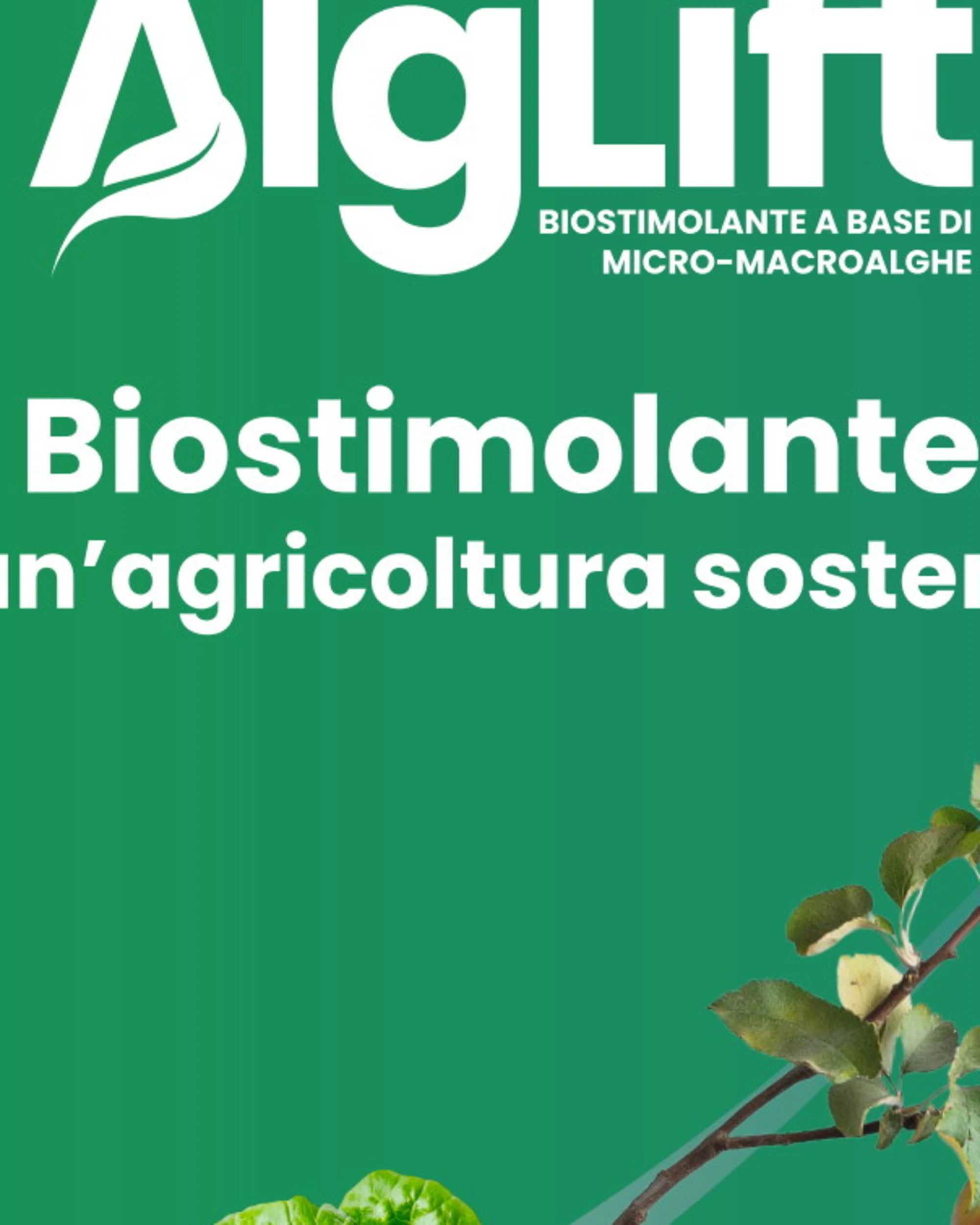 BioSyntex presenta AlgLift™: l'innovativo prodotto nel mercato dei biostimolanti