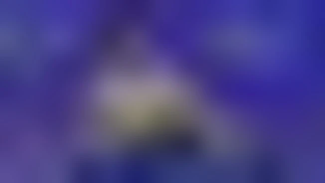 Iran, Ue respinge l'idea di un "pedaggio" nello Stretto di Hormuz