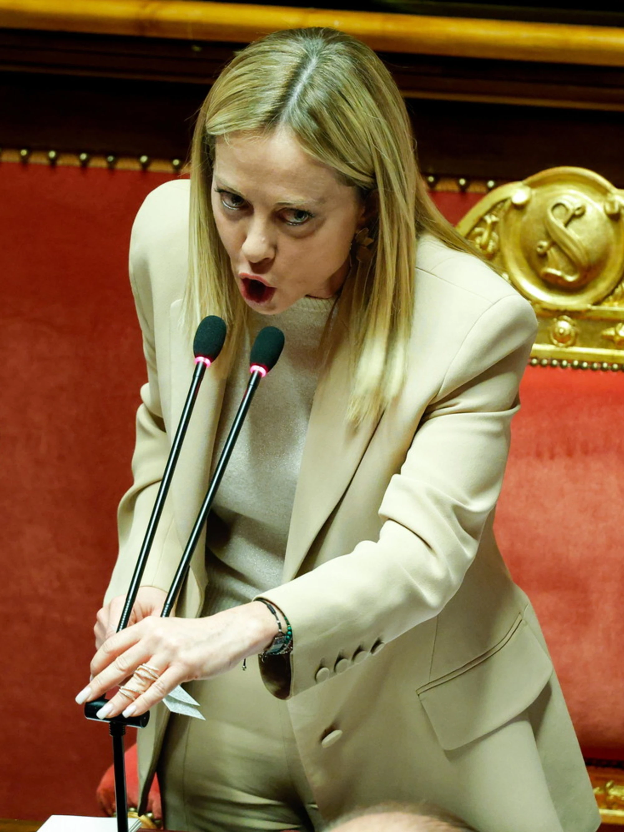 "Meloni cheerleader? Ignoranti": l'esperta travolge la Maiorino