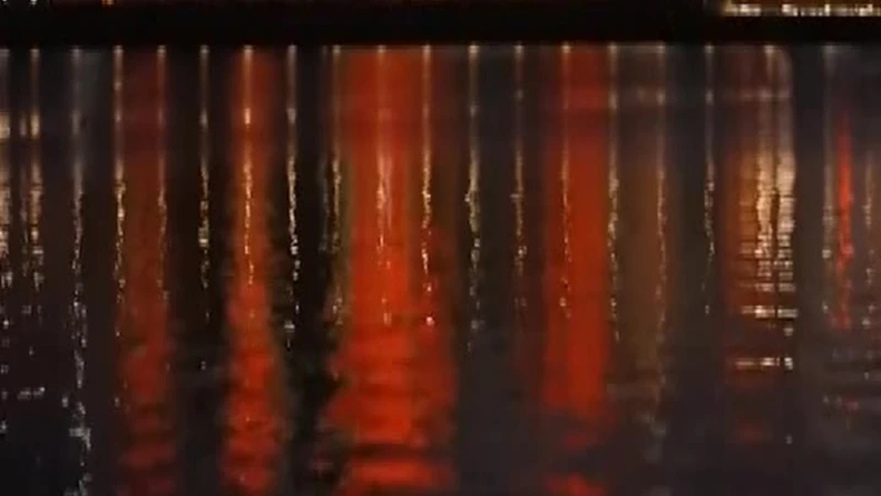 Australia, Remembrance Day: papaveri rossi alla Sydney Opera House