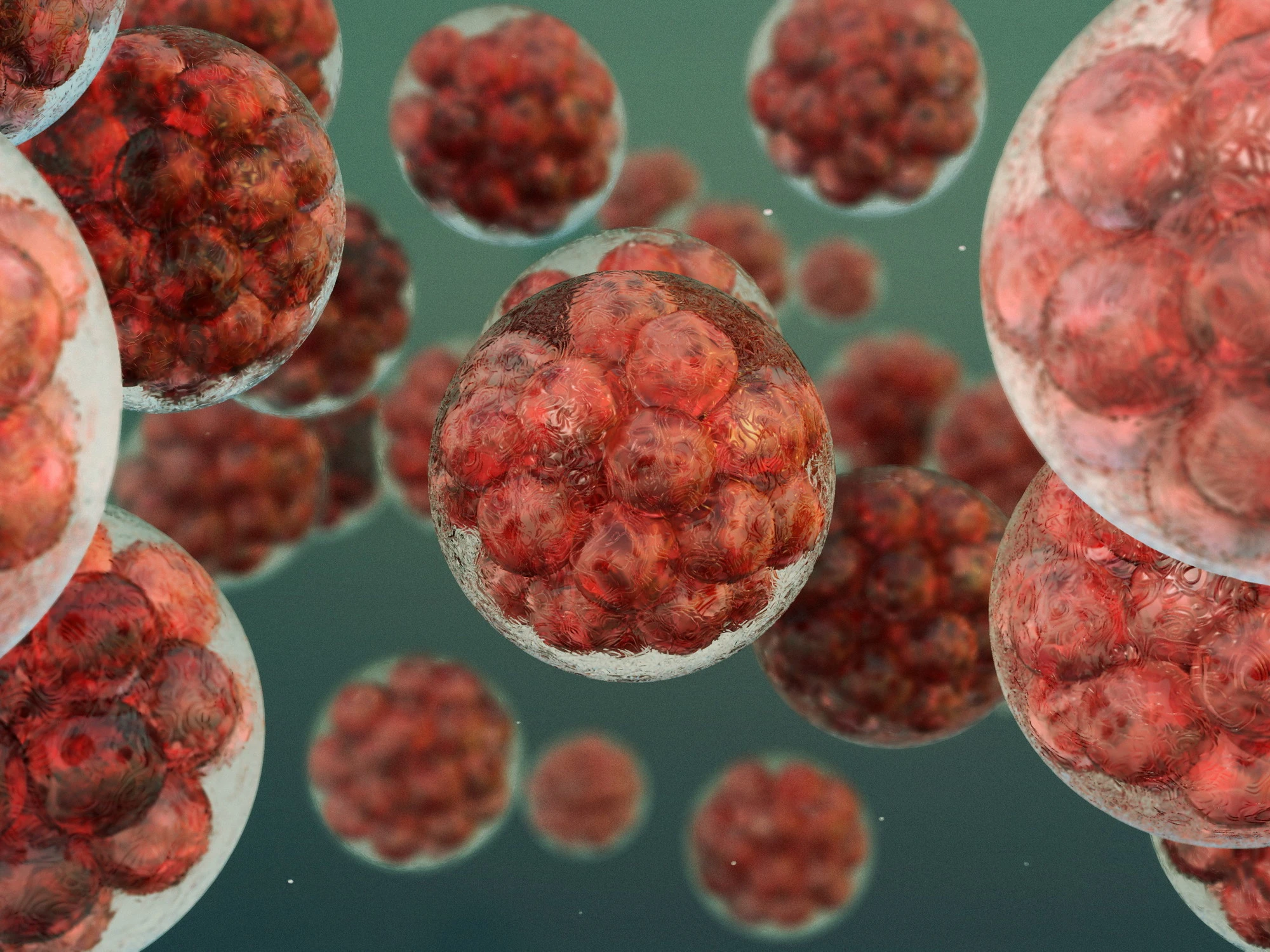 Tumore al pancreas, una possibile cura nella combinazione di 3 farmaci