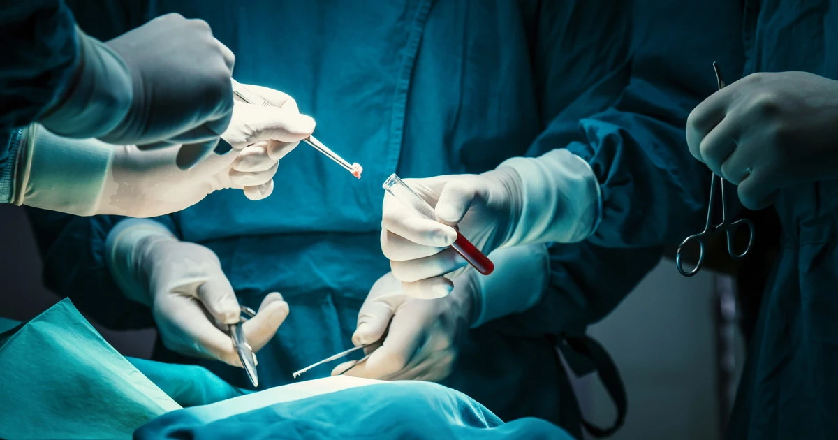 "Organi tolti dai corpi ancora in vita": cosa facevano i medici-boia