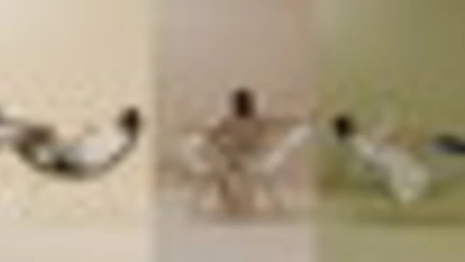 Luxy ottiene certificazione B Corp: "Primi nel settore in Italia"