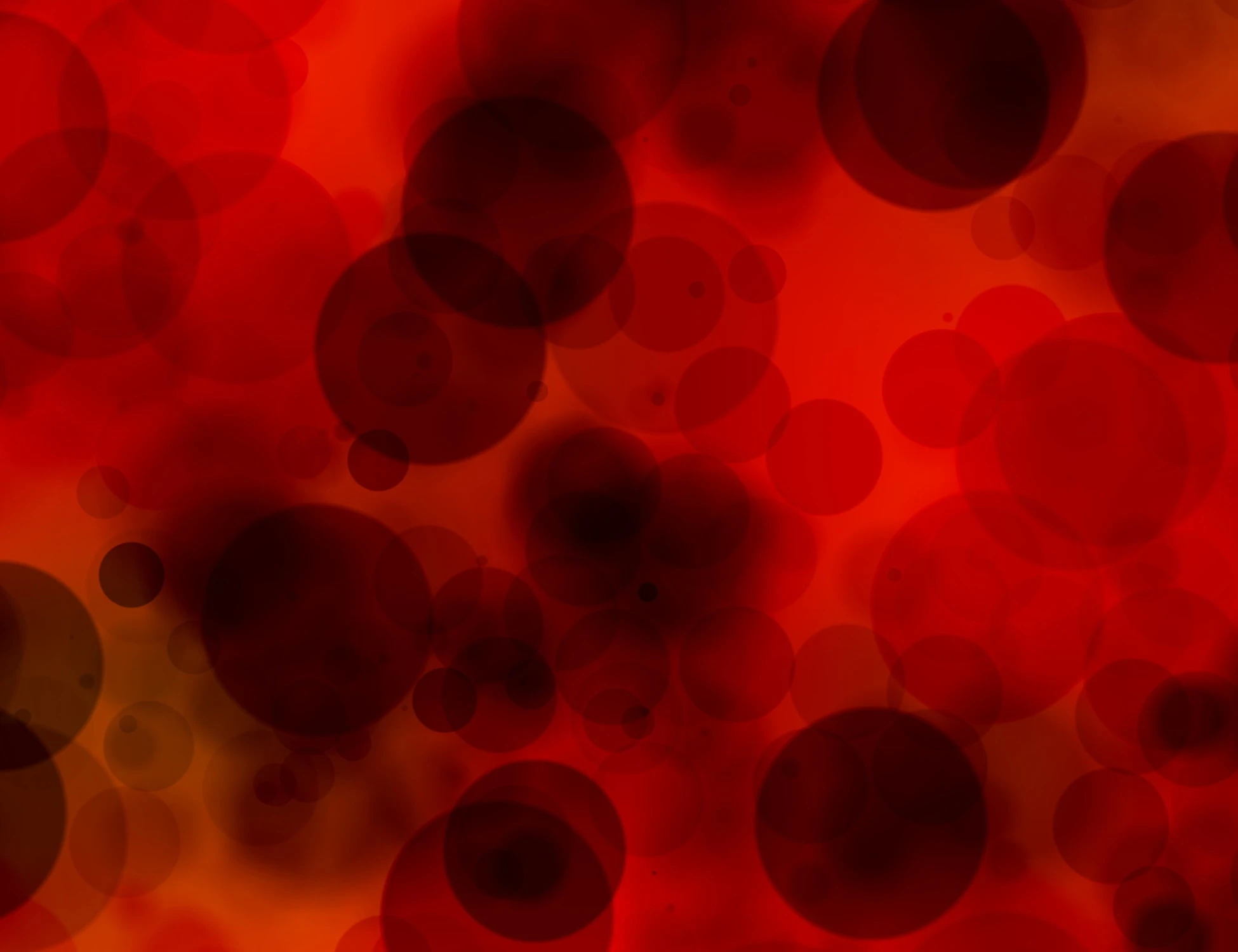 Sangue, le piastrine parlano al cervello: come influenzano la memoria