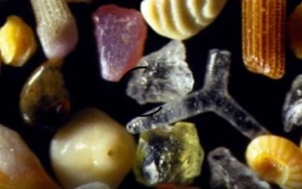 Sabbia del mare, ecco le foto in cui viene ingrandita 300 volte: immagini che lasciano senza parole