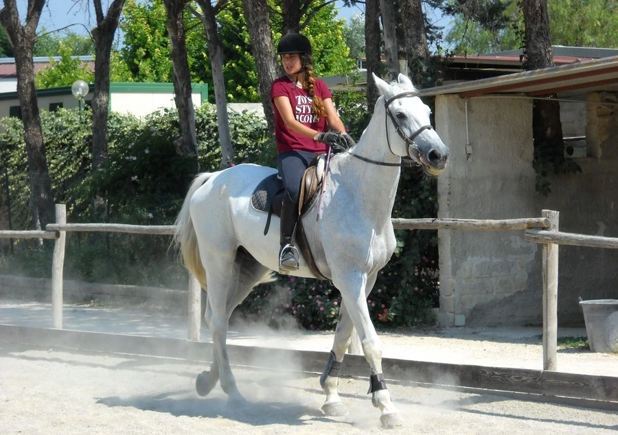 Equitazione, tre giorni di salto a ostacoli e grandi eventi in Campania