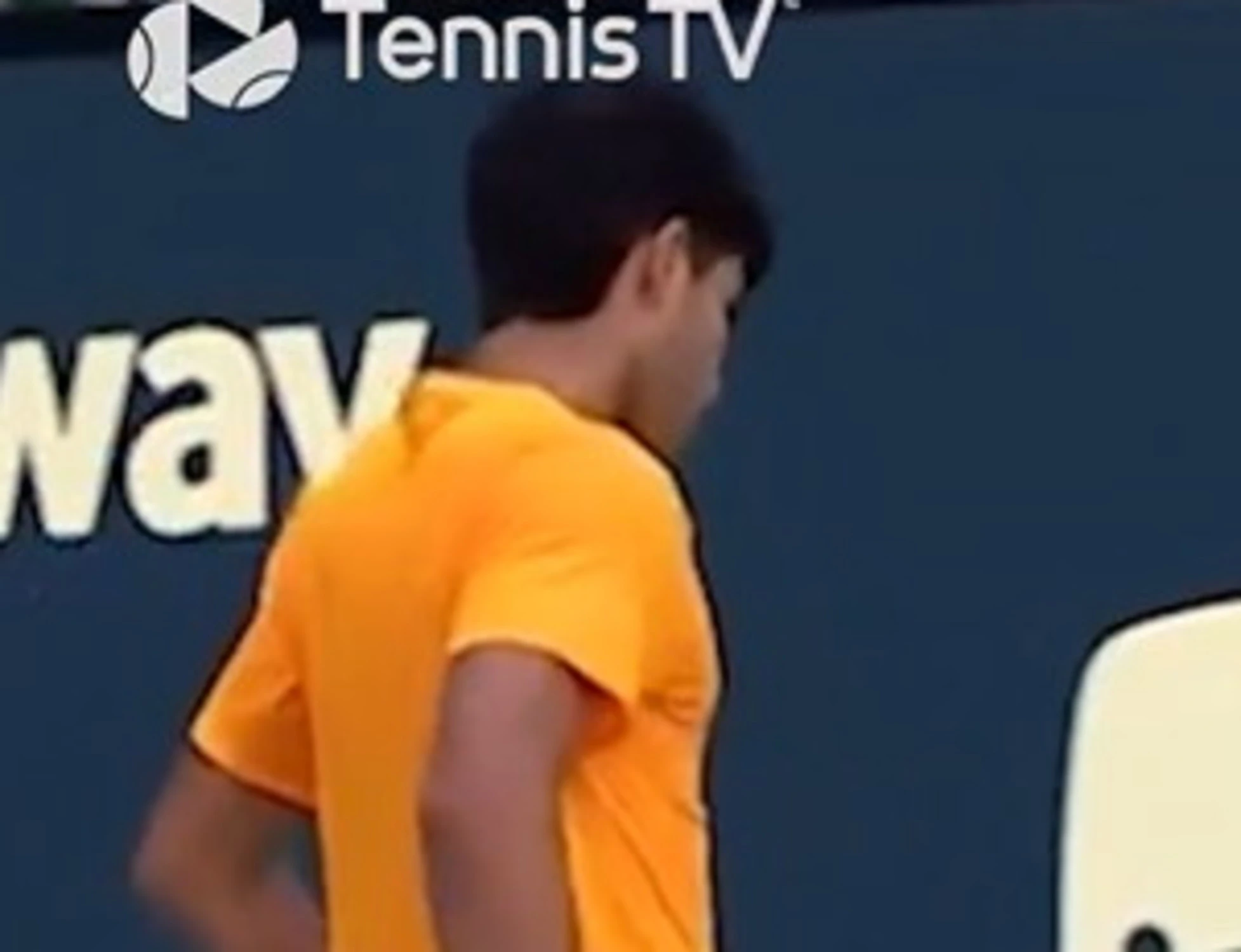 Alcaraz, la psicologa Josefina Cutillas: "Perché è crollato all'improvviso"