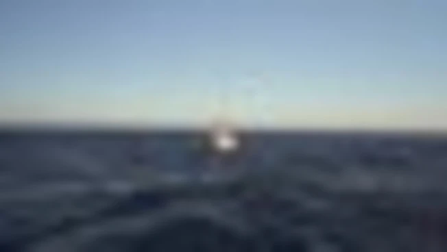 https://media.liberoquotidiano.it/lOtuvDge1aG-2iR6GqQBzH0-sGcB0vzGMzLA-oyIMjs/width:800/quality:90/aW1hZ2VzLzIwMjUvMTAvMDEvMTc0ODE4NzE2LTM3MjViNzY0LWE4MzgtNGE2NC1hZjdiLTYzYzZkOWU4NjY2Ni5qcGc.webp