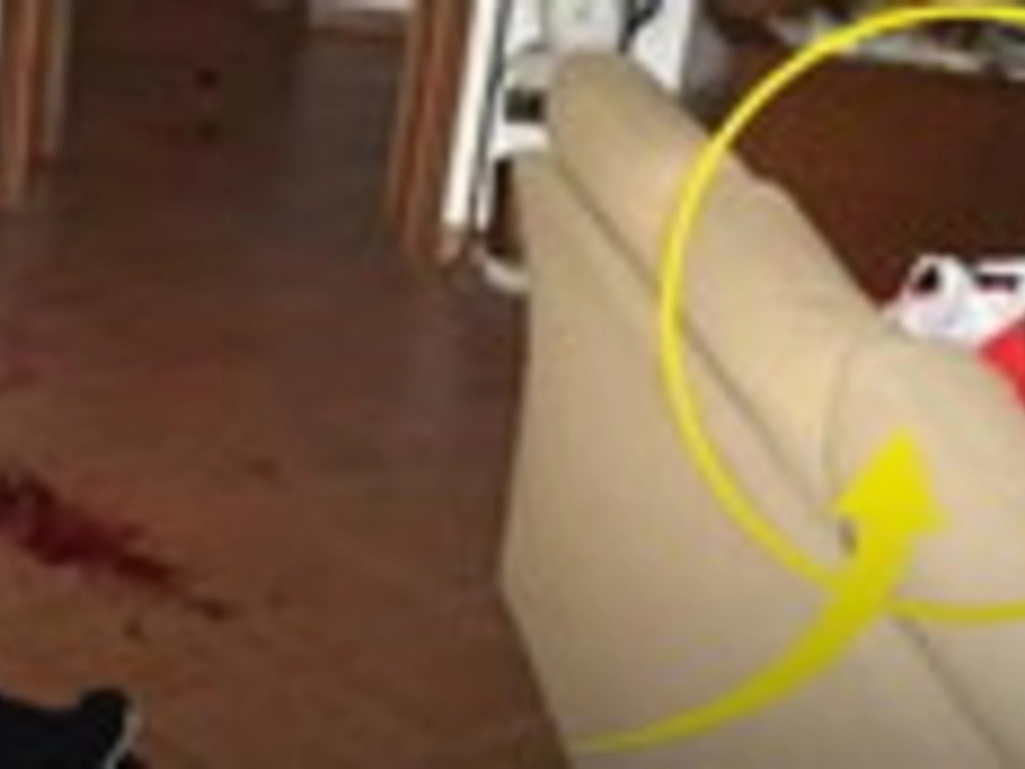 Garlasco, scoperta-choc: slip da donna usati e... buttati